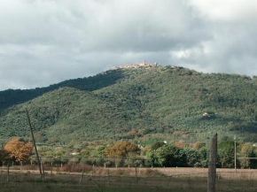 M G VETULONIA